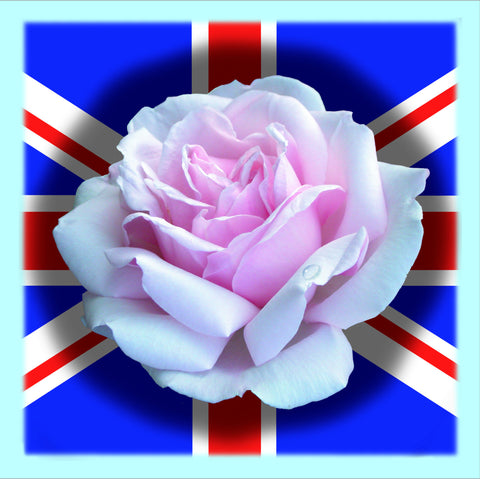 Ken Reilly - Union Jack - English Rose
