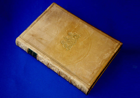 The FERNS OF GREAT BRITAIN and THEIR ALLIES - Anne Pratt