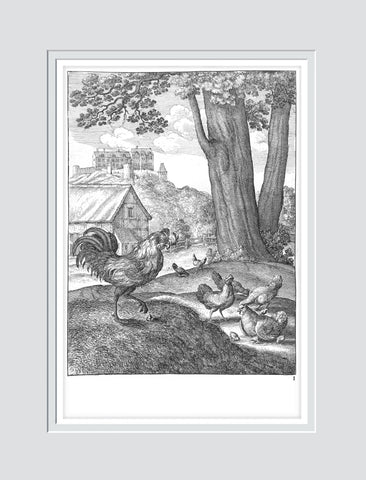 Of the Cock and the Pretious Stone - Wenceslaus Hollar -