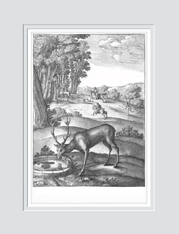 Of the Hart - Wenceslaus Hollar with Hollar's signature