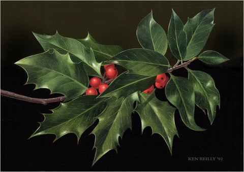 ------ Christmas Holly ------ Pack of 5 postcards