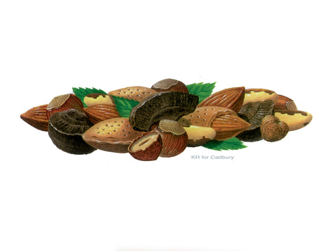 Ken Reilly Mixed Nuts Illustration for Cadbury's